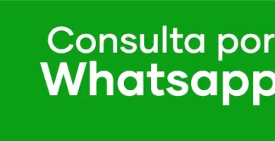 Bot&oacute;n verde de consulta por WhatsApp con texto blanco. Icono de WhatsApp a la izquierda del texto.