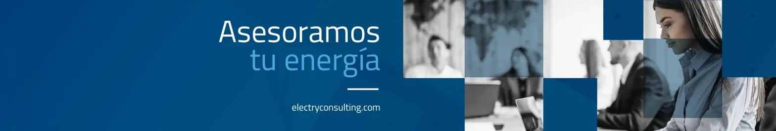 Agenda una visita de asesoramiento energ&eacute;tico con ElectryConsulting
